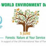 Il 5 giugno e' la Giornata Mondiale dell'Ambiente