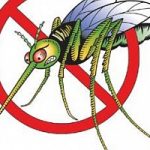 Ecoinvenzioni, il braccialetto contro le zanzare