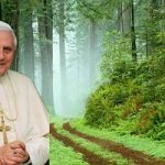 Benedetto XVI: diamo priorita' alle energie pulite per il futuro dell'ambiente