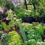Abitare sostenibile/3 Il giardino ecosostenibile in citta'