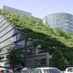 Green Roof: il tetto che respira, si trasforma in un giardino