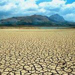 Desertificazione, se diminuiscono i suoli agricoli aumenta il pericolo