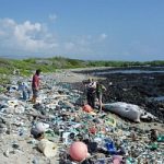 Pacific Trash Vortex, l'isola dei rifiuti di plastica al centro del Pacifico