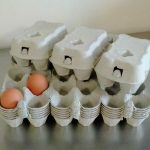Riciclo, come riutilizzare i contenitori delle uova