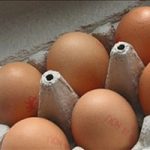 Alimentazione, uova fresche al supermercato? Come leggere le etichette