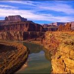 Sos Grand Canyon: manca l’acqua e flora e fauna scompaiono