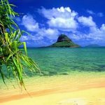 Sacchetti di plastica, anche alle Hawaii saranno vietati