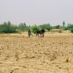 Ambiente, a rischio desertificazione oltre il 30% del territorio italiano