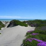 Sos dune del Salento: spiagge degradate da parcheggi, lidi e rifiuti