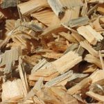 Biomasse legnose, un’opportunità da non perdere
