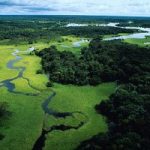 Amazzonia: distrutti  3 campi di calcio in un minuto