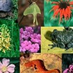 La biodiversita’ si racconta sul web