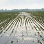 Agricoltura a rischio, a causa del clima impazzito