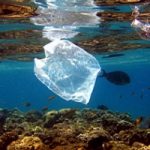 Via la plastica dal mar Mediterraneo, arriva Plastic Buster
