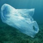 Mar Tirreno: 95% di rifiuti e’ di plastica