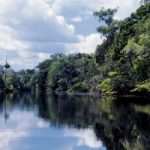 Amazzonia, il censimento del polmone della Terra