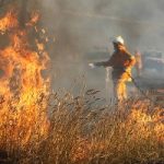 Australia in ginocchio: estate torrida e incendi a Sydney