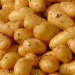 No a patata ogm Amflora nel mercato Ue