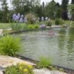 Voglio un eco-lago in giardino…