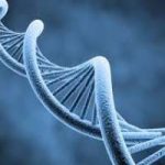 Creato l’XNA, alternativa sintetica al DNA. E' una nuova forma di vita