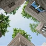Case per gli alberi: un progetto per aumentare gli spazi verdi in citta'
