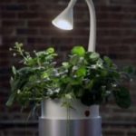Ecoinvenzioni: il vaso hi-tech per coltivare le piante a distanza