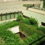 Casa: detrazioni del 50% per i giardini pensili sul tetto