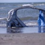 Topi morti e rifiuti sanitari: Sos sulle spiagge di Pozzuoli
