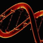 Sindrome Primrose: la medicina ha identificato gene responsabile