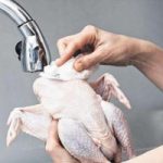 Mai lavare il pollo crudo. Aumenta il rischio infezioni