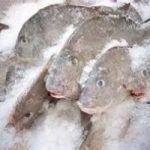 Fiumicino: sequestrati 1500 chili di pesce sconosciuto