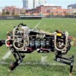 Tecnologia: l'eco robot ghepardo che corre fino a 50 chilometri orari