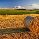 Agricoltura: piu’ sicurezza alimentare e meno sprechi