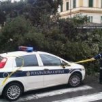 Maltempo a Roma: cade l'albero che dava il nome al quartiere