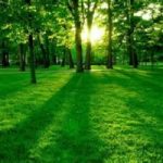 243mila assunzioni dalla Green Economy