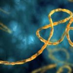Ebola: migliorano condizioni medico Emergency