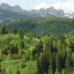 1,8 miliardi di euro per difendere i boschi d’Italia