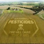 TTIP:  il patto segreto potrebbe portare in Italia 82 pesticidi vietati