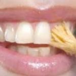 Miswak: lo spazzolino naturale per sbiancare i denti e prevenire la carie.