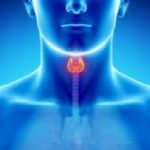 Problemi di tiroide? 7 campanelli d'allarmi