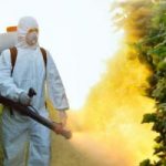 Pesticidi: Italia maglia nera d'Europa