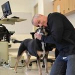Il cane che rileva i tumori annusando le urine
