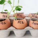 7 modi per riutilizzare i cartoni delle uova