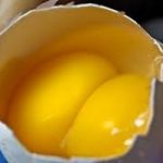 Non tutte le uova sono uguali. Quali quelle più buone?