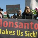 San Diego fa causa alla Monsanto: 'ha inquinato la baia con sostanze tossiche'