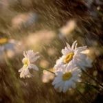 Meteo: Pasqua sotto la pioggia