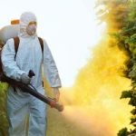 Mele piene di pesticidi: l'allarme di Greenpeace