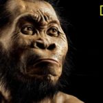 Homo naledi: ecco un antenato sconosciuto dell'uomo