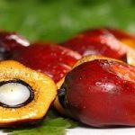 Olio di palma con colorante cancerogeno: il Ministero lancia l'allarme