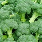 Cavoli, broccoli, cavoletti: ecco perché è meglio mangiarli crudi